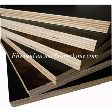 Chinese Filmfaced Plywood for Construction